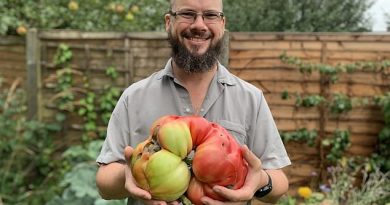 Douglas Smith’s (pictured with his tomato) efforts paid off when he broke the record to grow Britain’s biggest tomato