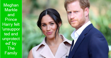Meghan Markle and Prince Harry felt 'unsupported and unprotected' by The Family