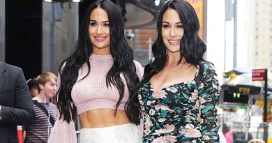 Nikki & Brie Bella Proudly Show Off Their Post-Baby Bodies In Intimate New Selfies — See Pics