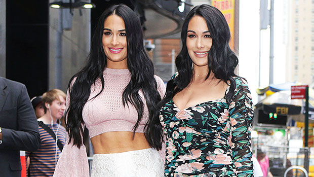 Nikki & Brie Bella Proudly Show Off Their Post-Baby Bodies In Intimate New Selfies — See Pics