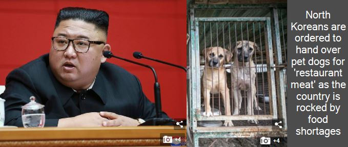 North Koreans are ordered to hand over pet dogs for 'restaurant meat' as the country is rocked by food shortages
