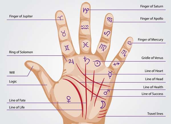 Palmistry - Sun line and Fate line combination for brightest luck