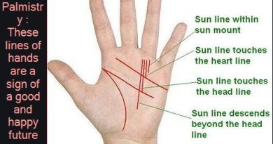 Palmistry These lines of hands are a sign of a good and happy future sun line