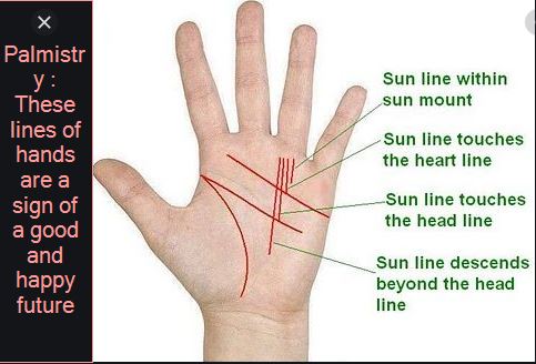 Palmistry These lines of hands are a sign of a good and happy future sun line