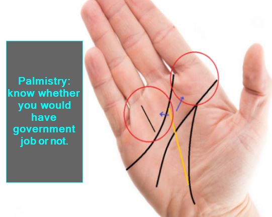 Palmistry know whether you would have government job or not.