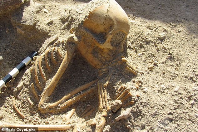 Skeletons of monkeys have been discovered in an animal cemetery near the Red Sea port Berenice that experts believe were kept as household pets some 2,000 years ago