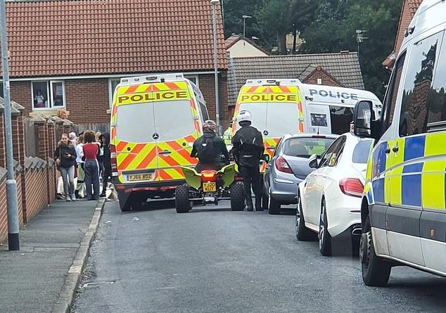 West Yorkshire Police said a man was arrested after DJing at a street party on Wepener Mount, Harehills