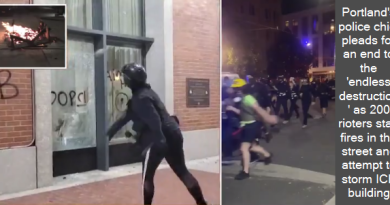 Portland's police chief pleads for an end to the 'endless destruction' as 200 rioters start fires in the street and attempt to storm ICE building