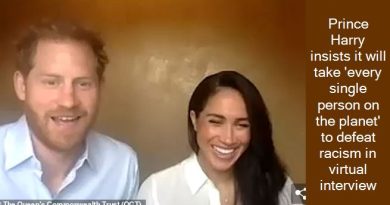 Prince Harry insists it will take 'every single person on the planet' to defeat racism in virtual interview