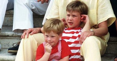 Prince William, 38, and Prince Harry, 35,