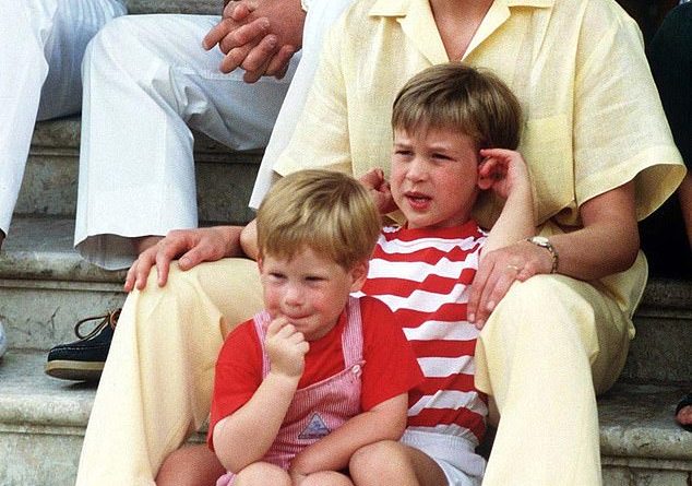 Prince William, 38, and Prince Harry, 35,