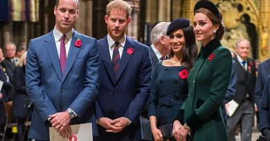 Pictured, Prince William, Duke and Duchess of Cambridge and Duchess of Sussex attend a service marking the centenary of WW1 armistice at Westminster Abbey on November 11, 2018 in London
