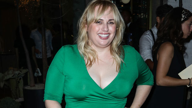 Rebel Wilson stuns in sexy Instagram shot as she shows off 