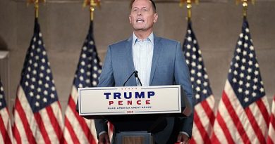 Richard Grenell, who served as President Donald Trump