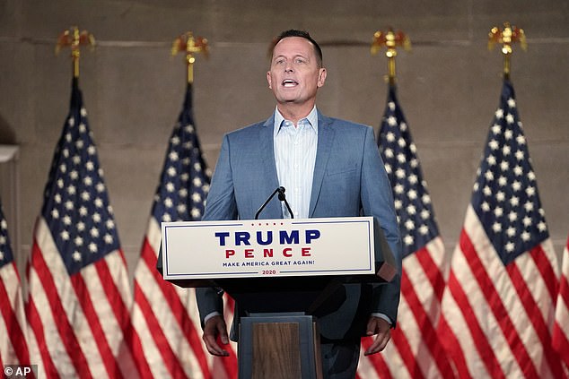 Richard Grenell, who served as President Donald Trump