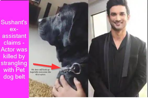 Sushant's ex-assistant claims - Actor was killed by strangling with Pet dog belt