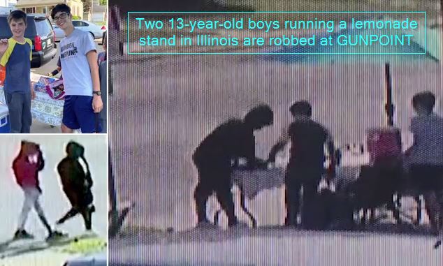 Two boys are robbed at GUNPOINT by teen at lemonade stand _ Daily Mail Online