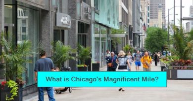 What is Chicago's Magnificent Mile
