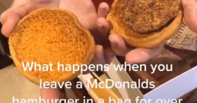 McMillions of years old! An American woman has held onto a hamburger and fries from McDonald