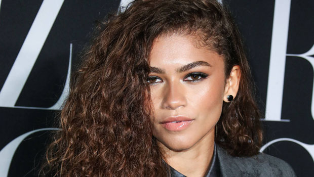 Zendaya’s Hair Makeover: ‘Euphoria’ Star Shows Off Epic New Braids — Before & After Pics