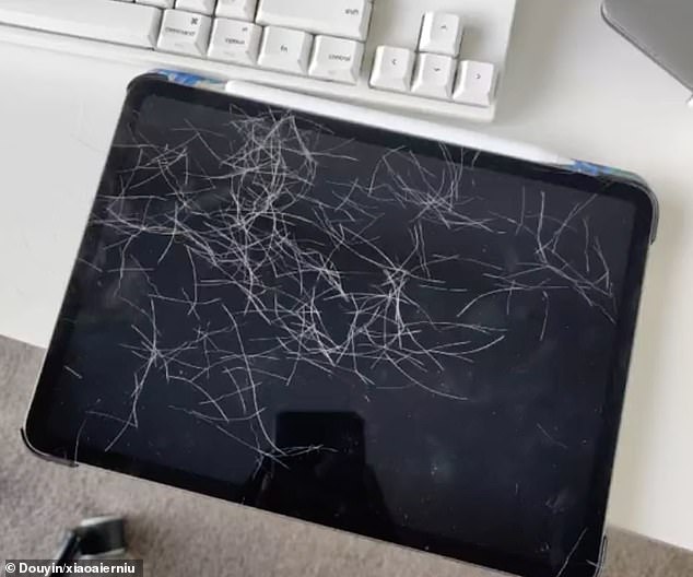 The Chinese woman found the photos accidentally taken by her seven-month-old cat, nicknamed Er Niu, after she noticed a clump of white fur on her iPad when she got home