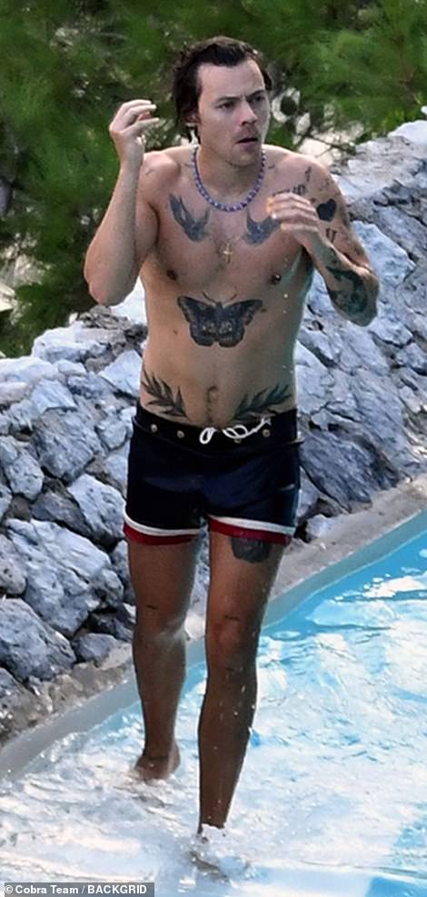 Harry Styles goes shirtless for a dip in the pool and ...