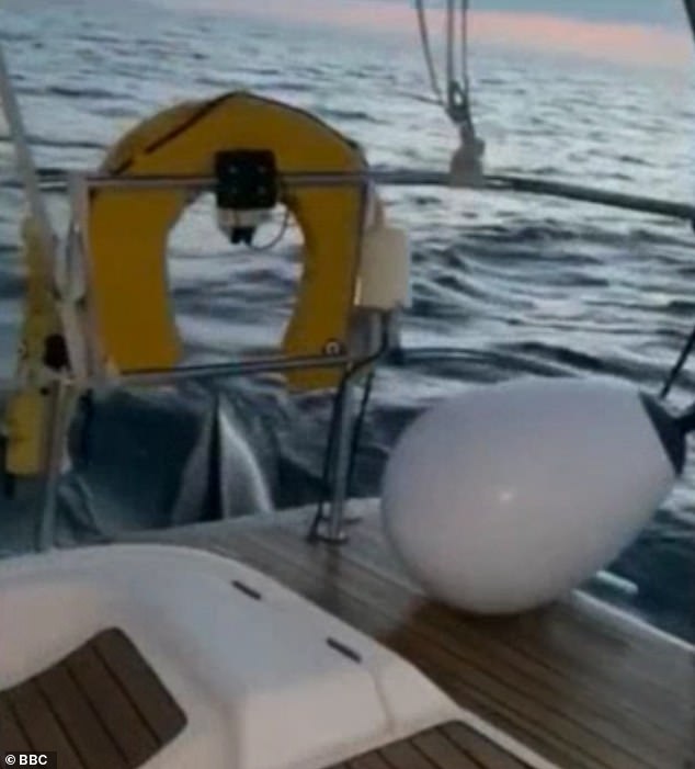 During the 45-minute attack a 1.5sq ft bite had been taken out of the yacht's rudder