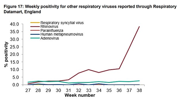 Respiratory diseases are all diseases that affect the respiratory tract, including coronavirus. A surge in rhinovirus infections in recent weeks, which causes a runny nose, may explain the increasing number of outbreaks recorded in schools