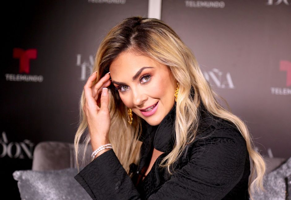 Aracely Arámbula could be part of the second season of Luis Miguel’s biographical series | The NY Journal