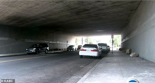 A group of West Los Angeles residents placed boulders in the Cattaraugus Tunnel, the Interstate 10 underpass that connects Reynier Village with the Culver City Arts District, in order to keep out homeless people as temperatures soared on September 6