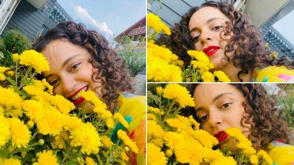 Kangana Ranaut shares happy pics amid bright yellow flowers as Bollywood drugs probe intensifies
