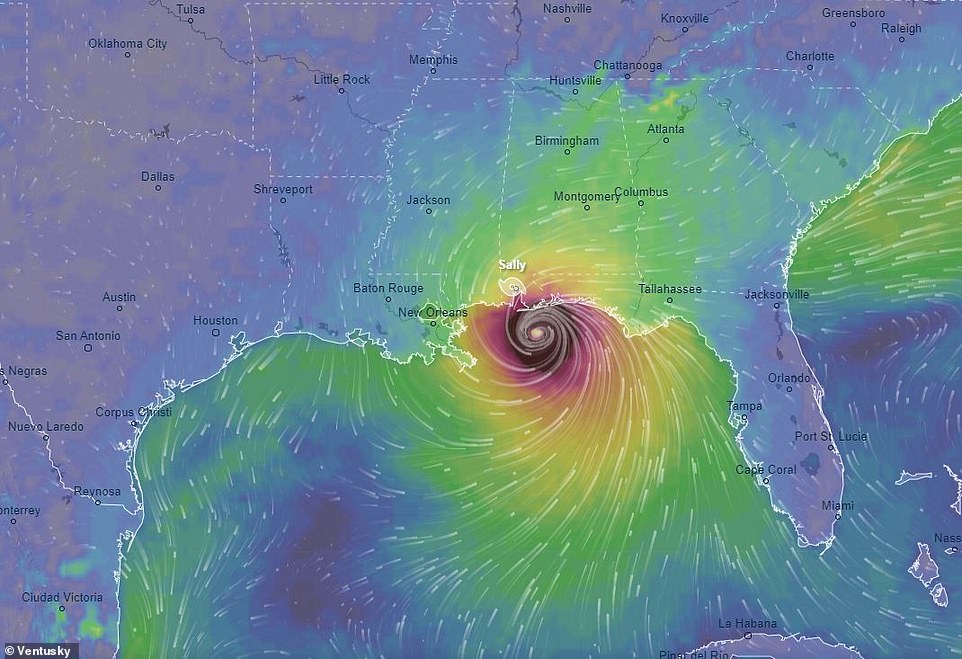 Tropical Storm Sally is expected to become a Category 2 hurricane with 100mph winds by the time it makes landfall in southeast Louisiana on Tuesday evening