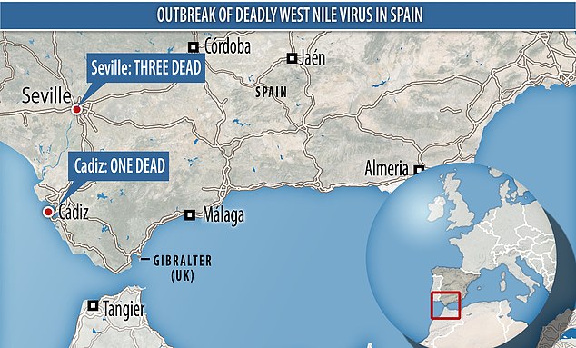 Three people have died from West Nile Virus in Seville, in the worst outbreak on record in Spain