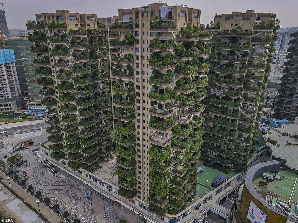 Residents shun Chinese 'vertical forest' housing project which ...