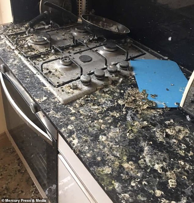 Nottingham Trent University student Oluwageorge Johnson, 20, received an email from accommodation workers to say they found pigeon droppings inside his flat