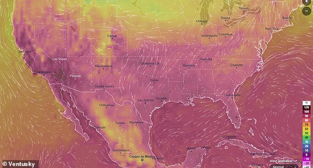 Around 43 million Americans are under an excessive heat watch and have been told to stay indoors as record-high temperatures are expected to hit the West Coast for Labor Day weekend