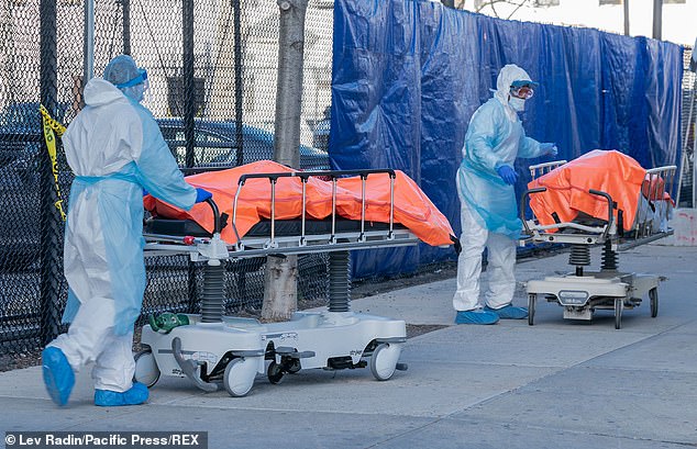 Up to 23% risk winding up in foster care because they lost their sole parent or guardian to the coronavirus pandemic. Pictured: Bodies of deceased patients are moved from a hospital to refrigerator truck outside of Wyckoff Heights Medical Center in Brooklyn, New York, April 4