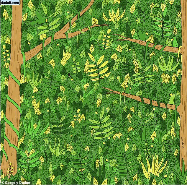 The brainteaser, created by children's illustrator Gergely Dudás, from Budapest, Hungary, shows a mass of green and yellow leaves with misleading parrots