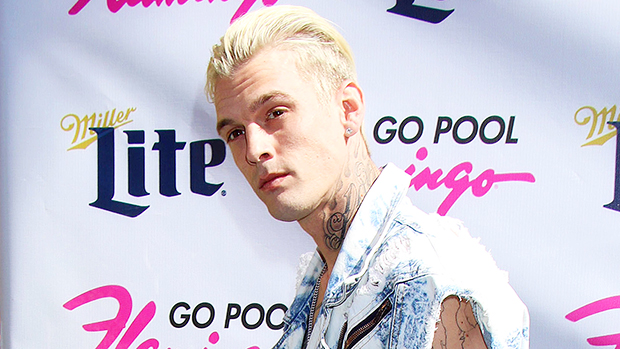 Aaron Carter S Hair Makeover Singer Shows Off Super Long Blonde Braids See His Look Before After The State