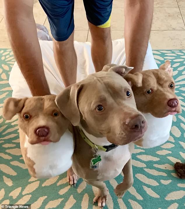 dog clone slippers