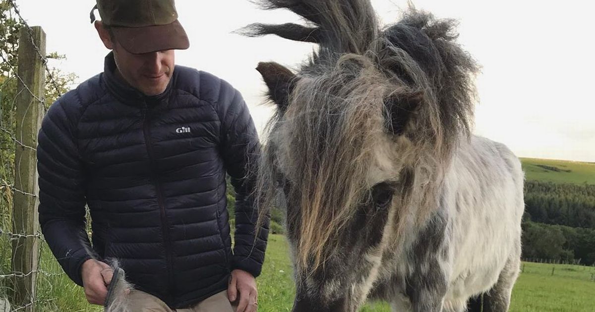 Matt Baker devastated by tragic loss as beloved Shetland pony dies