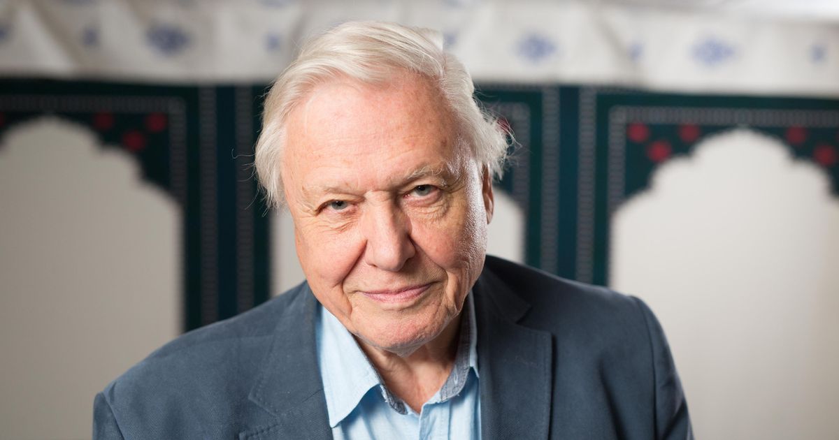 Sir David Attenborough’s Blue Planet dubbed ‘most influential TV show ever’