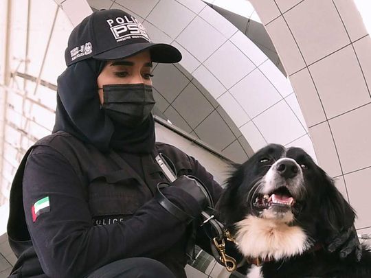 COVID-19: Sniffer dogs to detect cases in Sharjah, Abu Dhabi airports