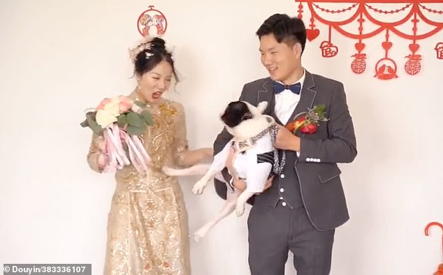 Dog kicks owner: Pet ‘kicks away’ bride after being held by the groom while posing for wedding photo