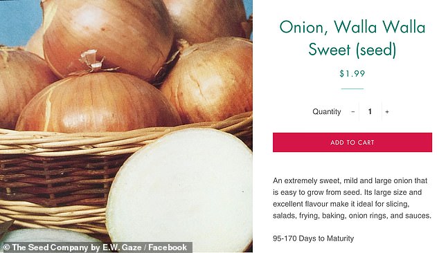 Facebook blocked an advertisement for onions by a Canadian seed company for being ‘overtly sexual’