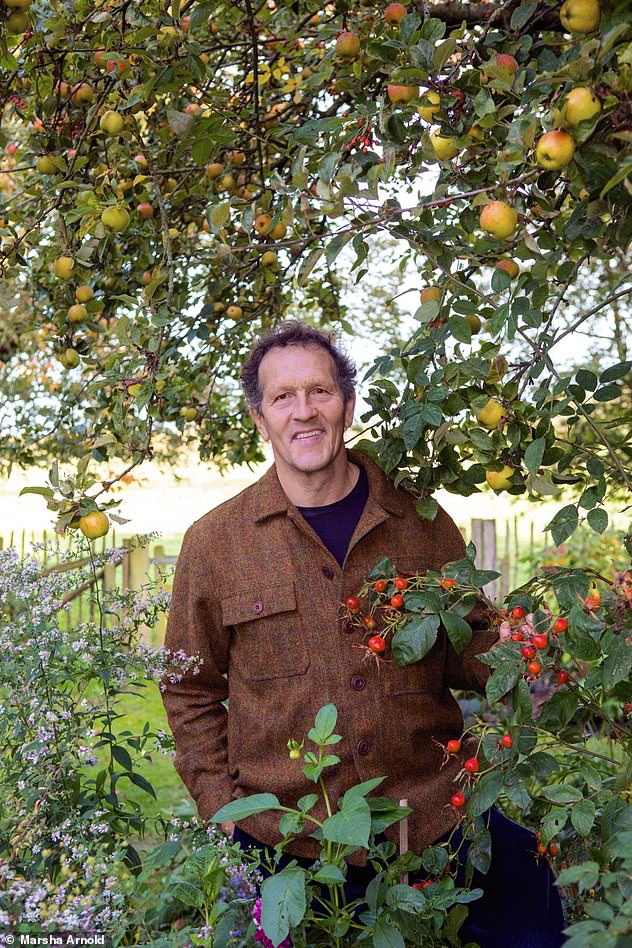 Falling leaves aren’t the only things that add glorious autumn colour to your garden, says Monty Don