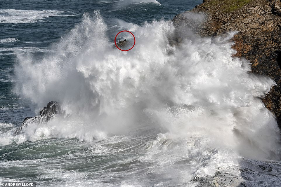 Fishermen brave huge waves as winds batter Cornwall – with weathermen warning MORE torrential rain