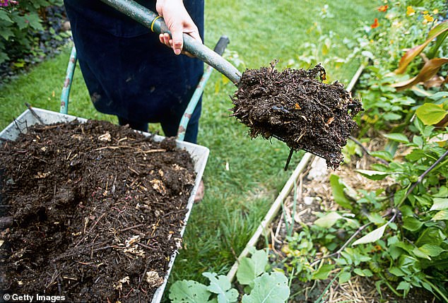 Garden centres struggle to source organic mulch and due to Covid lockdown supply chain issues