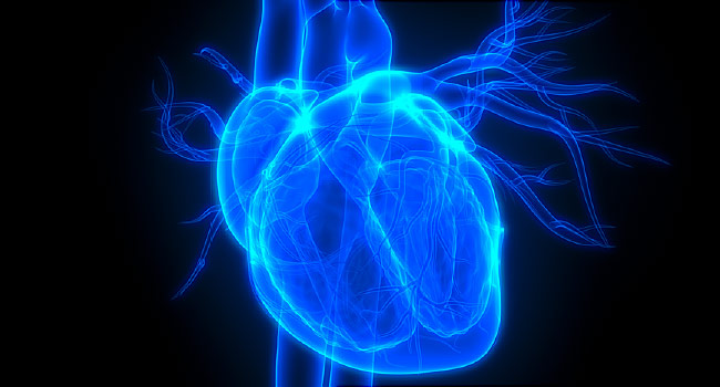 Heart Defects Don’t Increase Risk of Severe COVID
