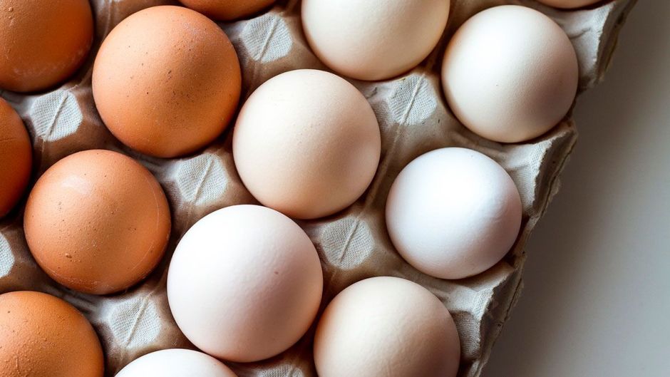 If I find red spots inside an egg, is it dangerous to eat it? | The NY Journal